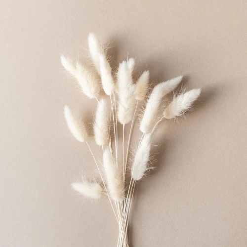 Blush Service 3 Image