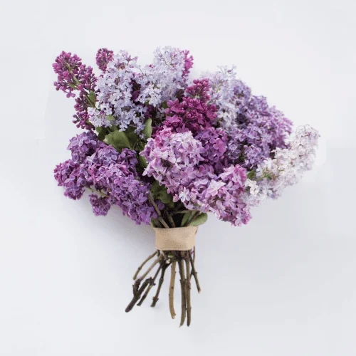 About supporting image